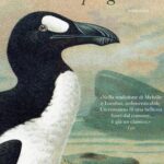 L'ultimo pinguino, Sibylle Grimbert, Solferino