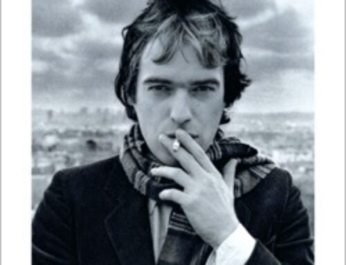 La storia da dentro, Martin Amis